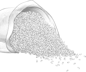 rice icon