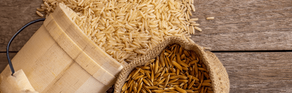 Rice Waste Management