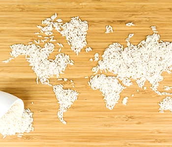Rice: An Evergreen Ingredient in World Cuisine