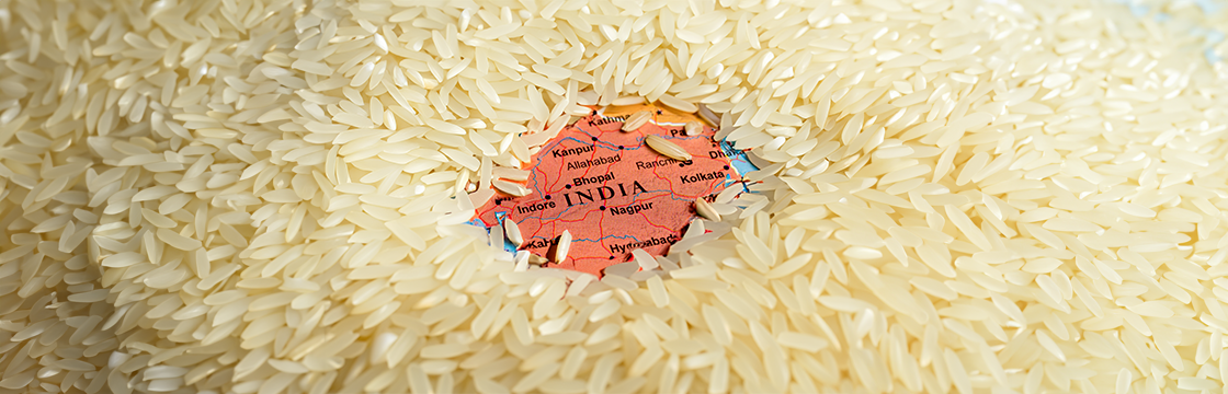 Basmati Rice Market Size Segmentation