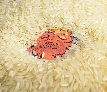 Basmati Rice Market Size, Segmentation, Top Manufacturers and Forecast to 2030