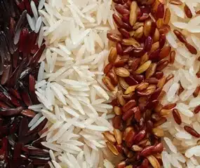 7 Regional Biryani Styles and the Rice Each Uses