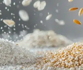 Long Grain vs Short Grain Rice for Biryani: A Simple Guide